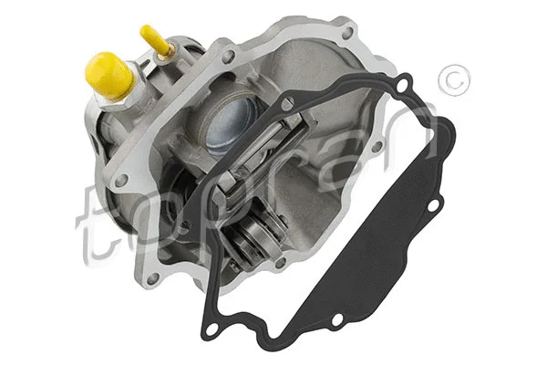 Vacuum Pump, braking system (401 273)