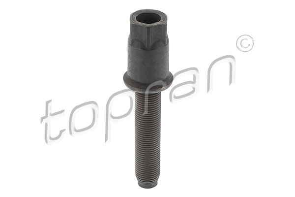 Pulley Bolt (504 091)