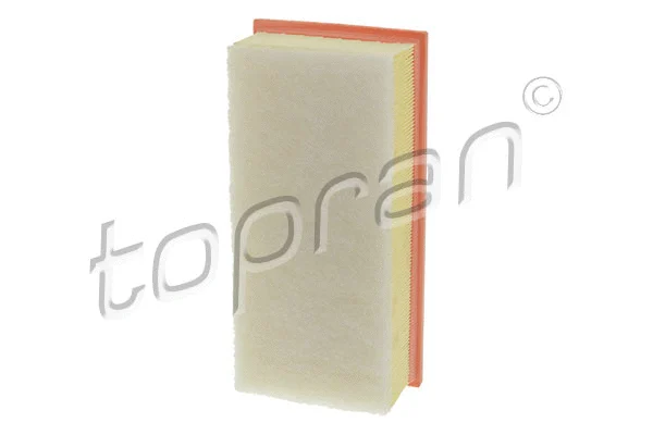 Air Filter (600 014)