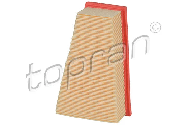 Air Filter (408 586)