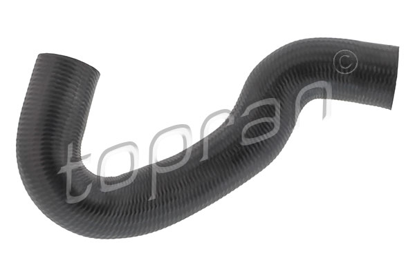 Radiator Hose (103 448)