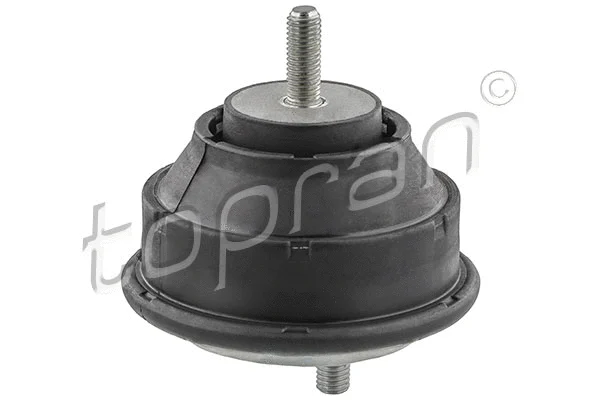 Mounting, engine (500 273)