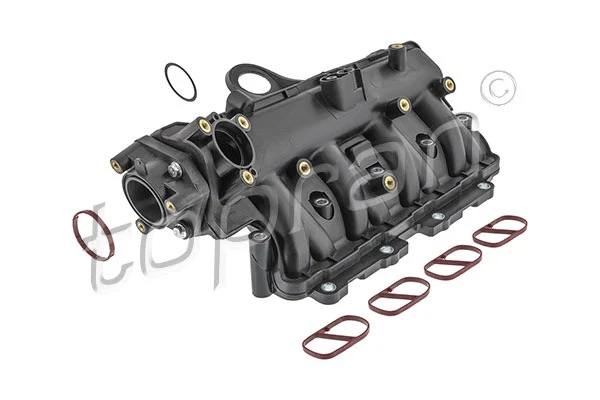 Intake Manifold Module (209 187)