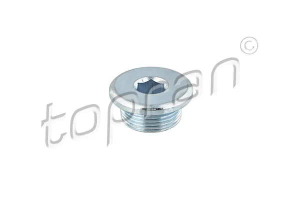 Screw Plug, oil sump (113 282)