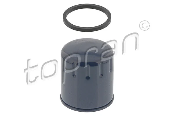 Oil Filter (700 330)
