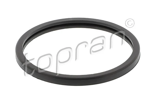 Seal, thermostat (722 053)