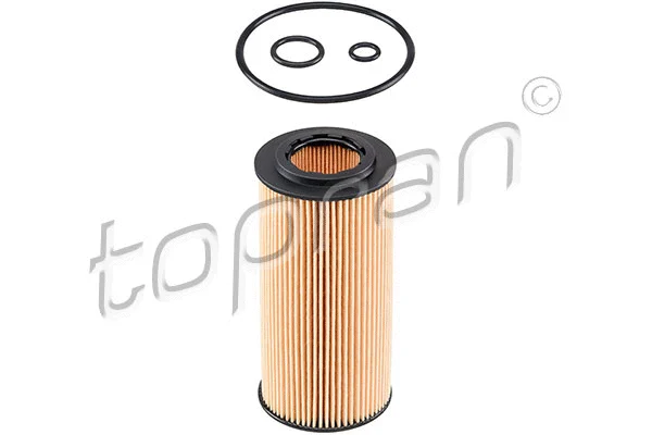 Oil Filter (401 444)
