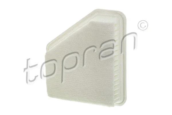 Air Filter (600 021)