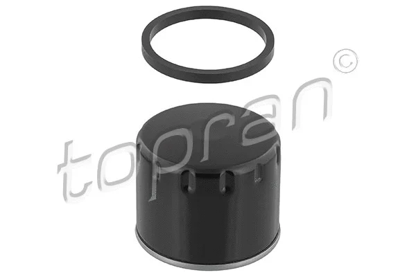 Oil Filter (207 580)