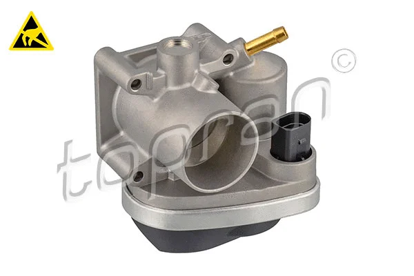 Throttle Body (117 299)