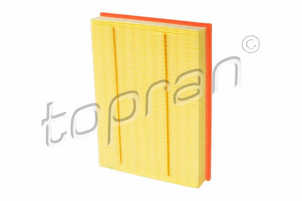 Air Filter (401 337)