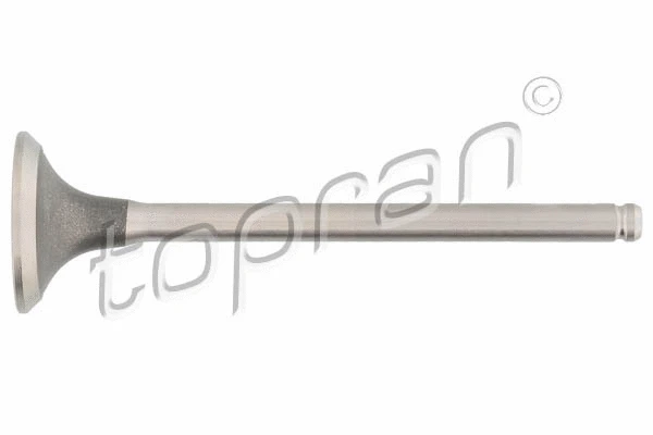 Exhaust Valve (700 658)
