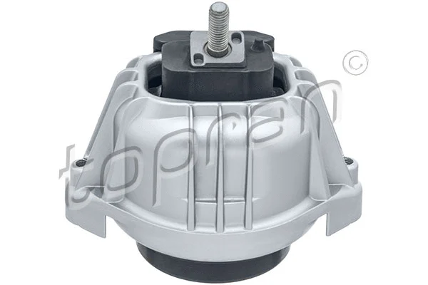 Mounting, engine (502 245)
