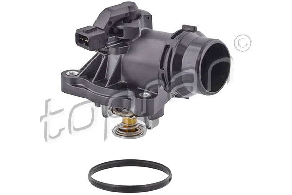 Thermostat, coolant (501 146)