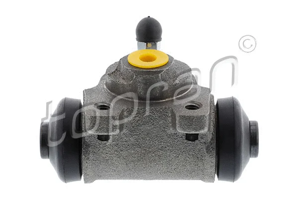 Wheel Brake Cylinder (624 306)