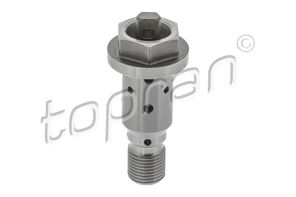 Control Valve, camshaft adjustment (639 823)
