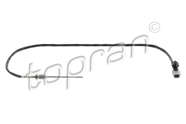 Sensor, exhaust gas temperature (638 588)