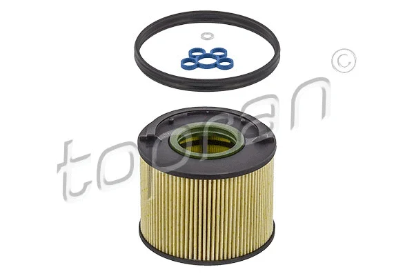 Fuel Filter (111 787)