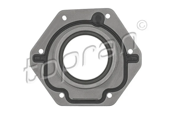 Shaft Seal, crankshaft (207 571)
