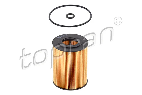Oil Filter (407 777)