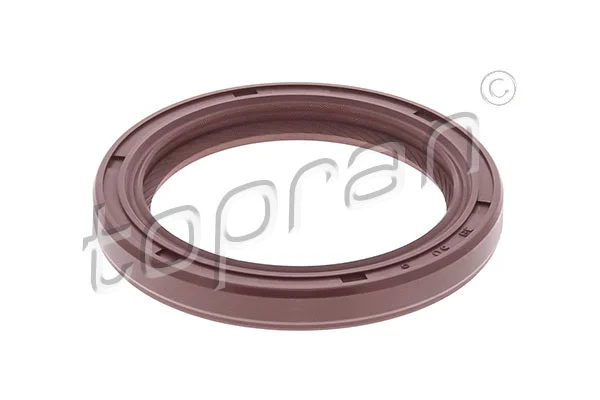 Shaft Seal, camshaft (721 121)