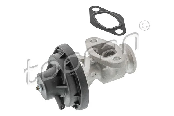 EGR Valve (639 198)
