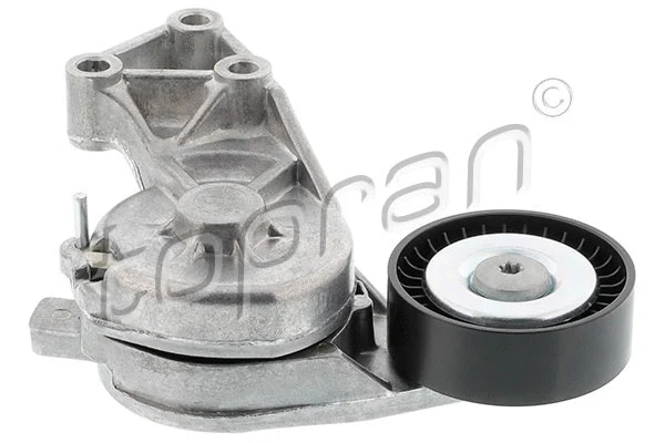 Belt Tensioner, V-ribbed belt (109 746)