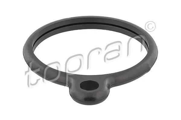 Seal, thermostat (400 691)