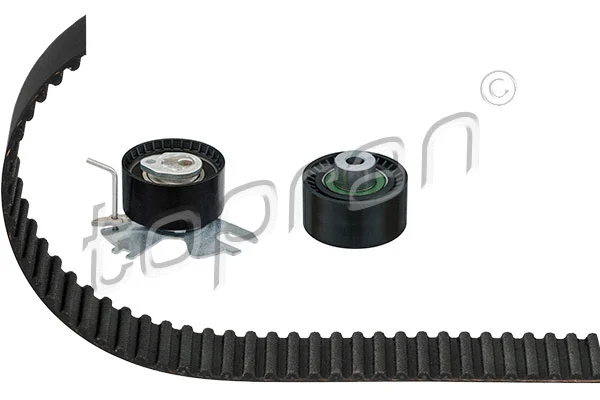 Timing Belt Kit (722 796)