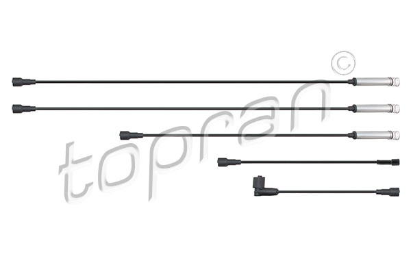 Ignition Cable Kit (202 519)