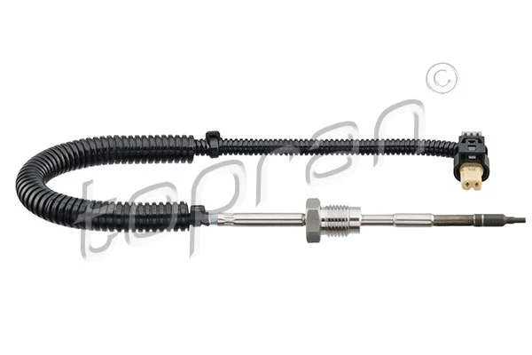 Sensor, exhaust gas temperature (409 588)