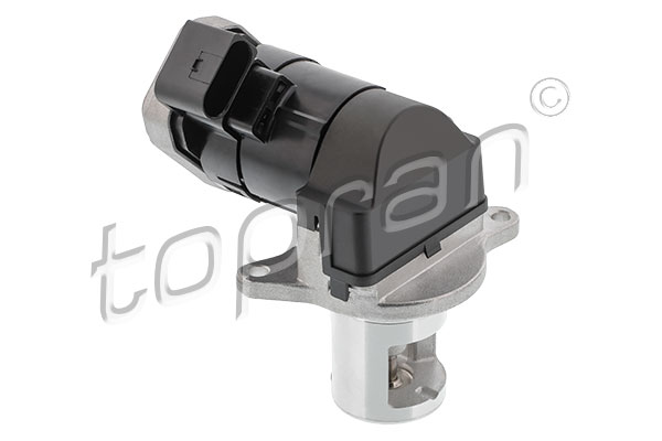 EGR Valve (408 434)