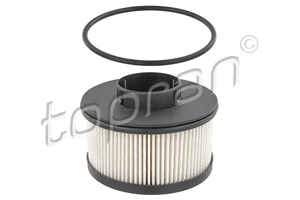 Fuel Filter (630 808)
