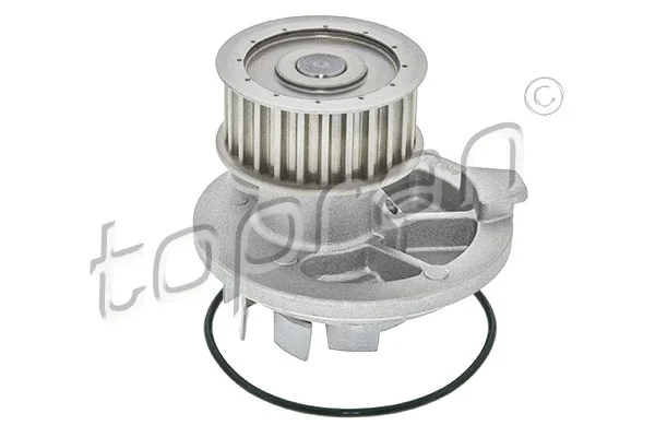 Water Pump, engine cooling (202 283)