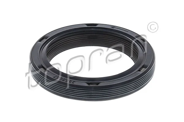 Shaft Seal, camshaft (304 143)