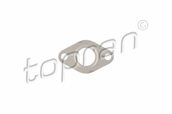 Gasket, EGR valve (111 183)