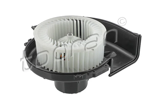 Interior Blower (115 207)
