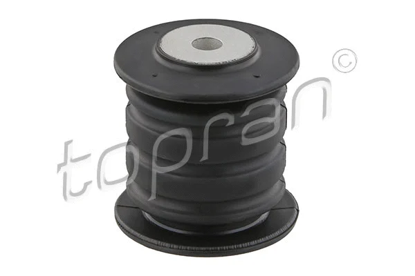 Bushing, leaf spring (634 531)