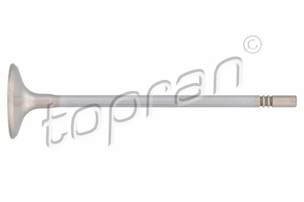 Intake Valve (207 302)