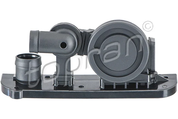 Valve, crankcase ventilation (113 877)