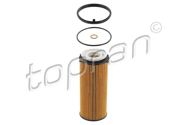 Oil Filter (501 663)