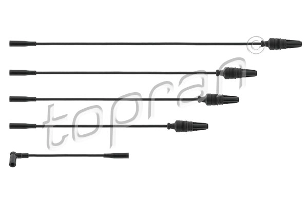 Ignition Cable Kit (721 501)