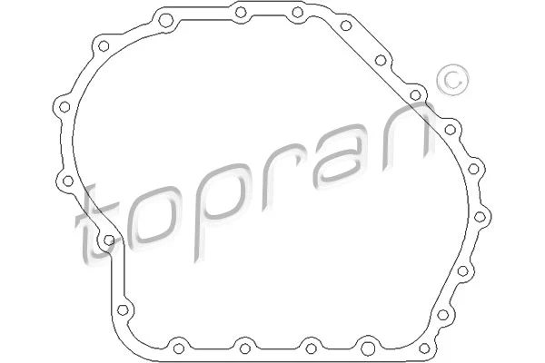 Oil Seal, automatic transmission (113 389)