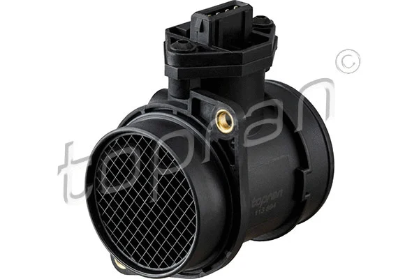 Mass Air Flow Sensor (113 894)