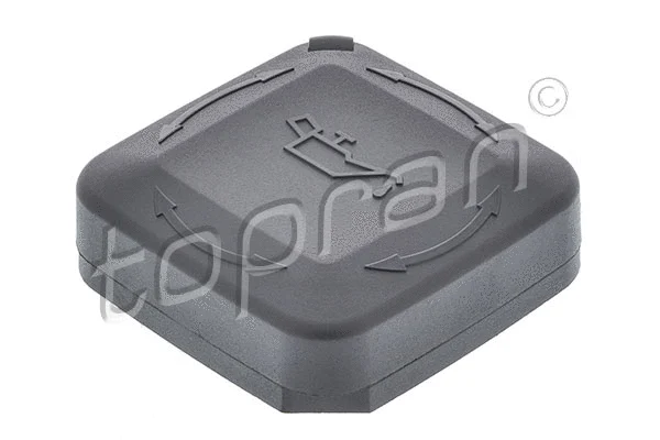 Sealing Cap, oil filler neck (501 583)