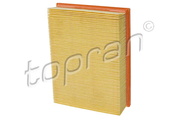 Air Filter (205 632)