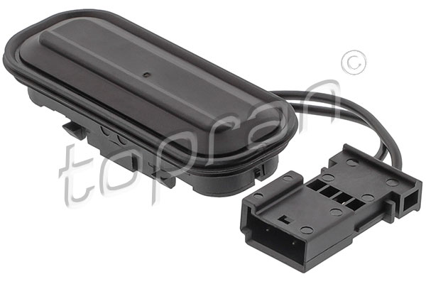 Switch, tailgate (209 405)