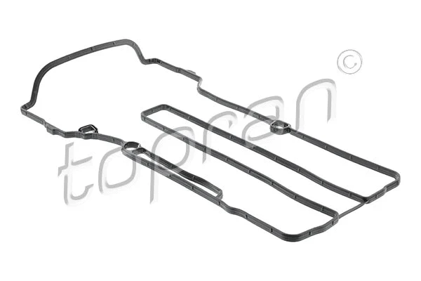 Gasket, cylinder head cover (208 099)