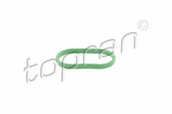 Gasket, intake manifold (700 623)