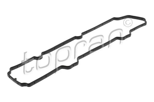 Gasket, cylinder head cover (301 860)